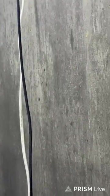 Live fb show hàng gái xinh