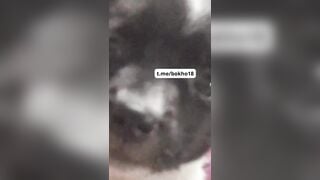 Bé 2k9 Mới Lớn Cho Chó Bú Lồn Còn Kêu Bú Miếng Đi Bú Miếng Đi Nứng Thiệt