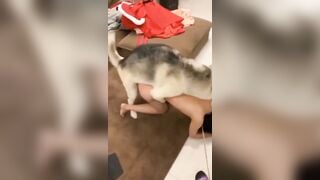 Seri dog sex china - Full ở dưới mô tả