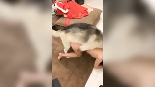 Seri dog sex china - Full ở dưới mô tả