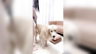 gơn china làm tình với ???? link full ở dưới