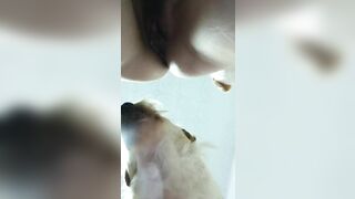 Cho chó đụ mỗi ngày phần 2