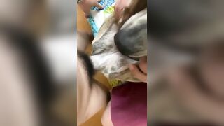 Pet cưng 3