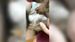 Pet cưng 3