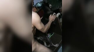 Hấp diêm pet