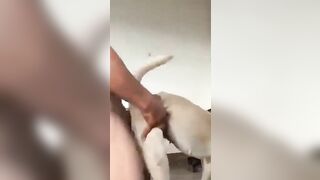 Anh chàng cơ bắp bà von chó