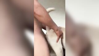 Anh chàng cơ bắp bà von chó