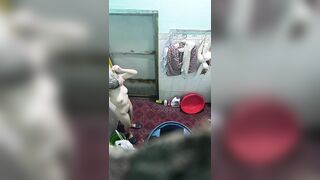 Rình em hang xóm tắm lộ hàng