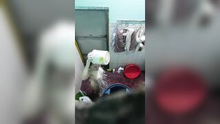 Rình em hang xóm tắm lộ hàng