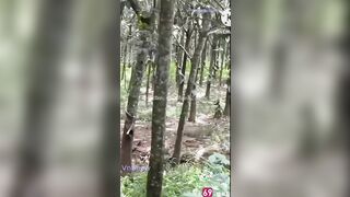 Độc lạ, Mỹ hạnh2000 show lồn thủ dâm đái ra đường gạ djt người lạ