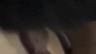 Mẹ vợ lồn múp bú cu con rể dâm đãng khẩu dâm kích thích