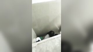 Quay lén 2 đứa bạn cùng lớp địt nhau trong nvs nữ rồi đăng lên confession trường