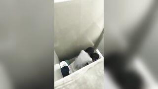 Quay lén 2 đứa bạn cùng lớp địt nhau trong nvs nữ rồi đăng lên confession trường