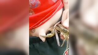 Tổng hợp thú vị 🤡