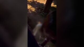 Được em gái bú cu public ngoài công viên vừa run vừa sướng