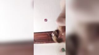 Em gái da trắng vú hồng hào non tơ cứ cạ cạ mãi mới chịu cho anh chịch