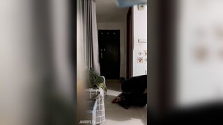 Chăn e hồ ly đến mùa động dục, Bú cu gạ djt a zai có vợ