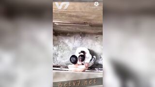 Cặp đôi trẻ bú cu trong hẻm