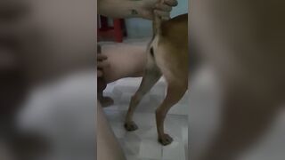 Phê tận óc