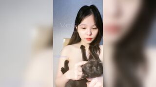 Mèo và bạn