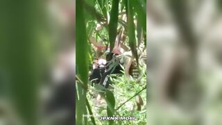 Vcl ạ, Quay lén 2 e L0P7 DÂN TỘC djt nhau trong rừng