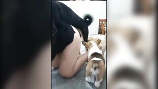 động vật vui vẻ 3