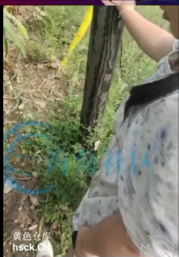 cu hư 115