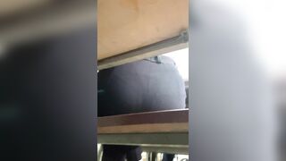 mông bạn cùng lớp