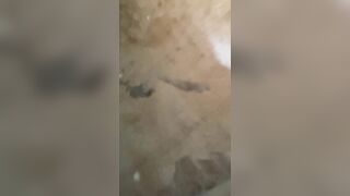 mông bạn cùng lớp