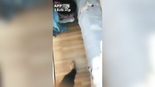 Rủ em gái mới quen về nhà nhậu rồi chuốc say em nó xong đè em nó ra chịch tung lồn