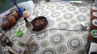 Hack camera p1