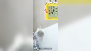 nìi lộ clip p3