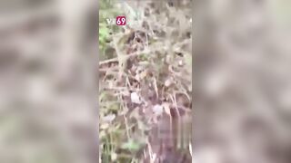 Cảm ơn anh đã cho em lên đỉnh gữa rừng