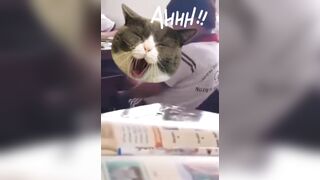 Bắc sóc bỏ lọ ngay tại lớp