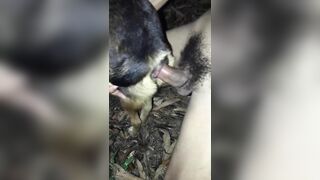 Em chó cái và anh trai cặc to