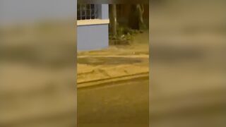 Độc lạ, Giữa đêm dâm nữ gạ ngla Bú cu đjt nhau trước UBND
