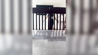 Xin lỗi vk ck ko có lỗi