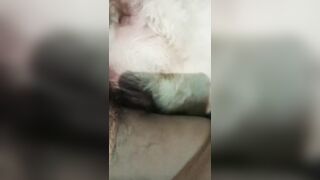 Em chó cái lồn sưng to