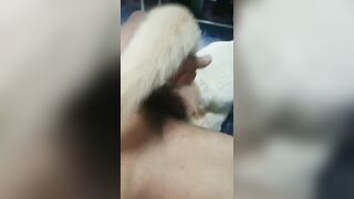 Em chó cái lồn sưng to