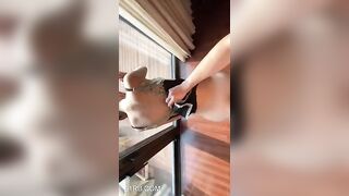 Đi hotel với thư ký chỉ mặc váy ngủ đi làm