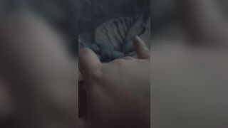 Ngựa ngựa lượn lờ trên lit thế là vớ ngay em gái mới lớn damdang