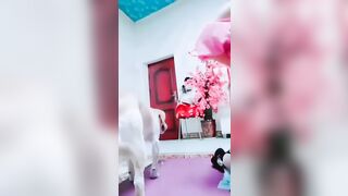 Cho chó hàng xóm địt phần 2