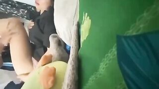 Đụ em ghệ trước khi mẹ em về
