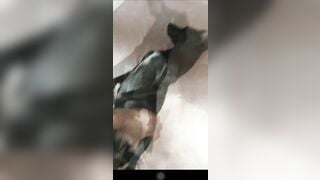 Cặc to đụ chó cái đen