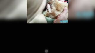 China đầu cặc to đụ chó cái