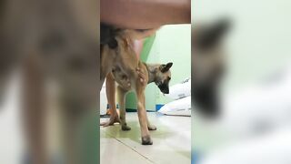 Anh trai cu đen đụ em chó tơ
