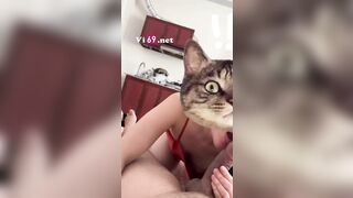Anh grab được em gái mời qua ăn rồi ăn cả em