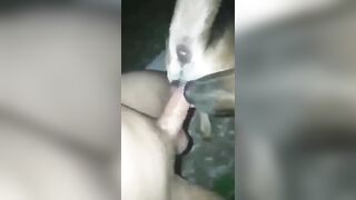 Anh trai đụ em chó cái bót cặc
