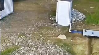 Định địt tí mà sập cả wc