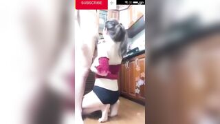 Thử thách, Show cu trước mặt Con bạn Nấu ăn, Được nó bú tụt quần djt nhau luôn